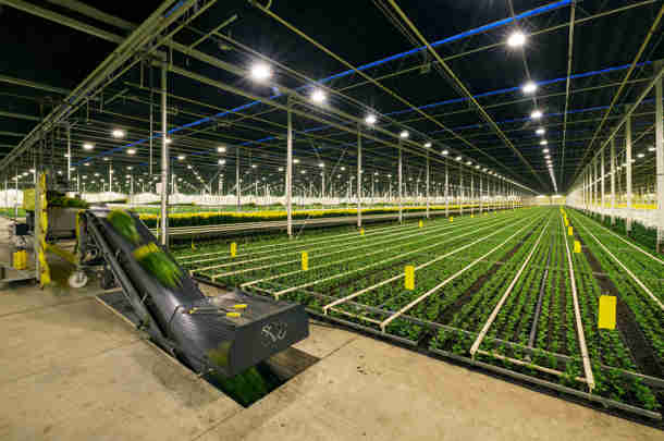 Nieuwe strategische positionering op weg naar succes