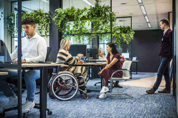 Afbeelding - Diversiteit en inclusie