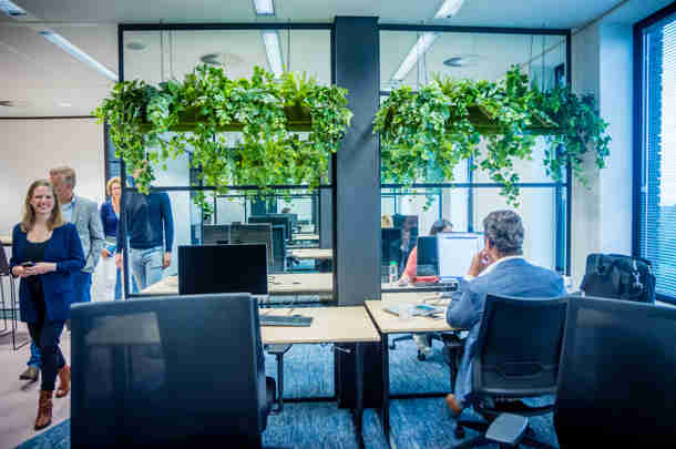 Afbeelding - Onze organisatie